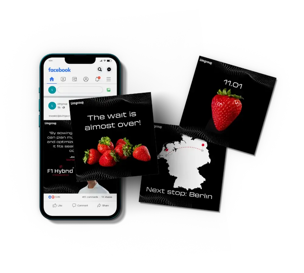 Digitale campagne van Limgroup met aardbeien