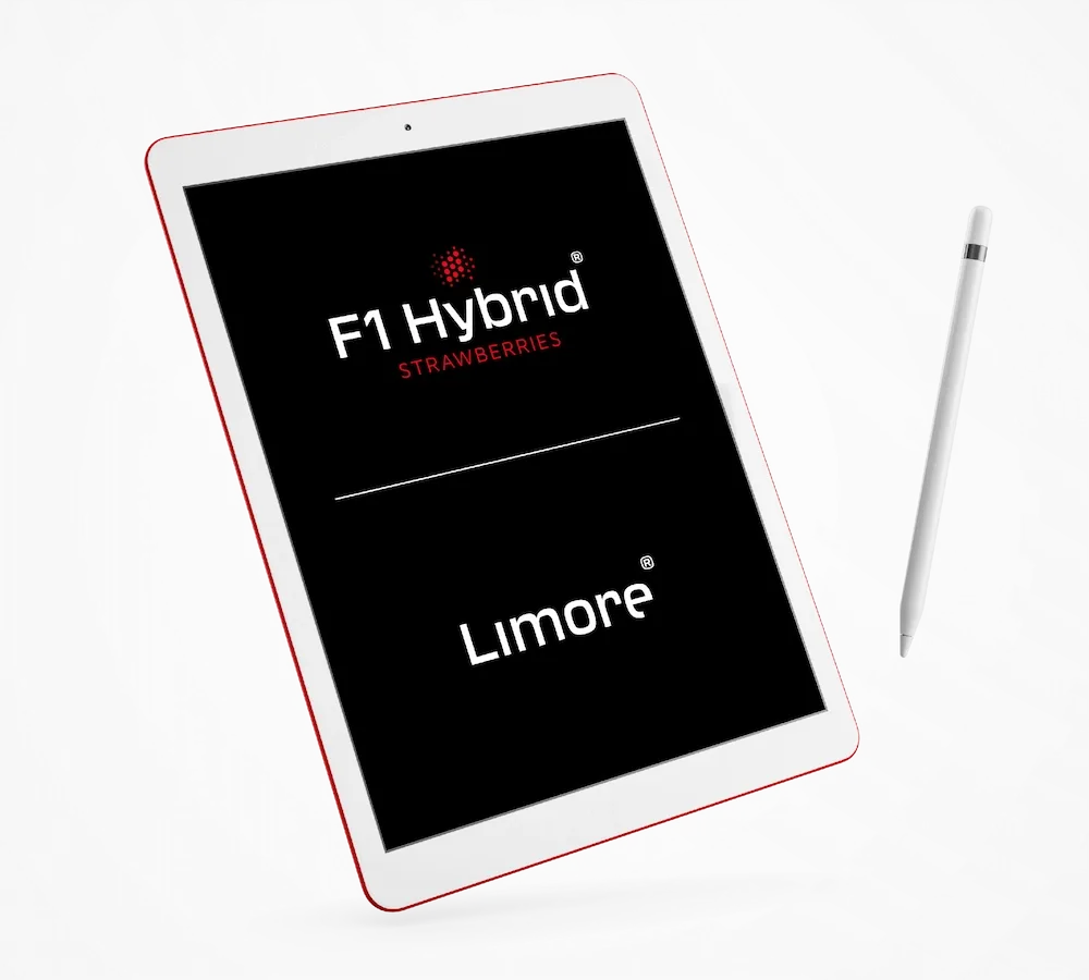 Tablet met campagnevisual van Limgroup met tekst F1 Hybrid Limore
