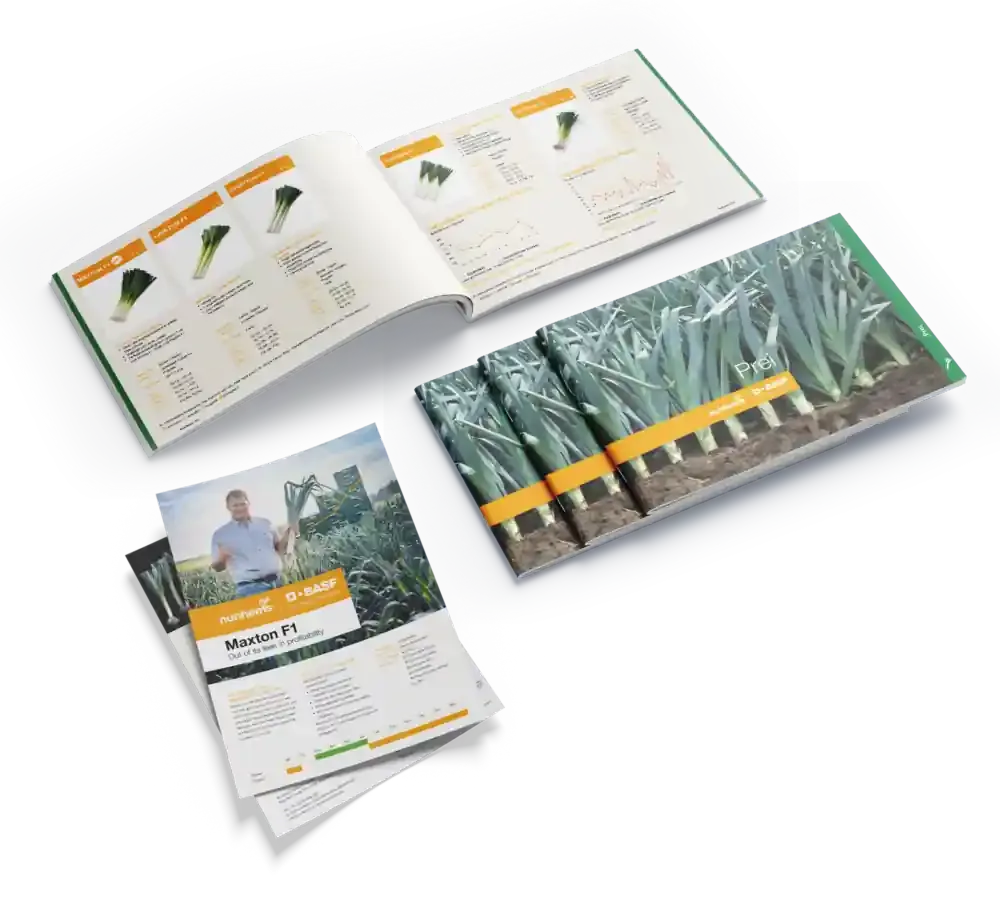 Set drukwerk van BASF Nunhems met brochures en opgemaakte prints